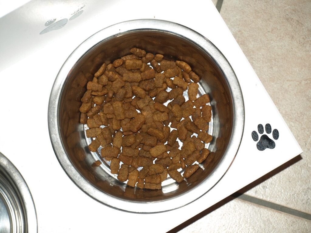 A steel bowl of dry kibble on a raised dog feeder